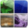 Themes